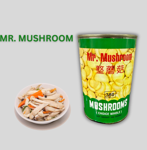 MR. MUSHROOM